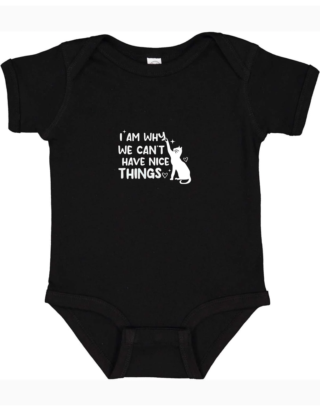 I'm Why We Can't Have Nice Things