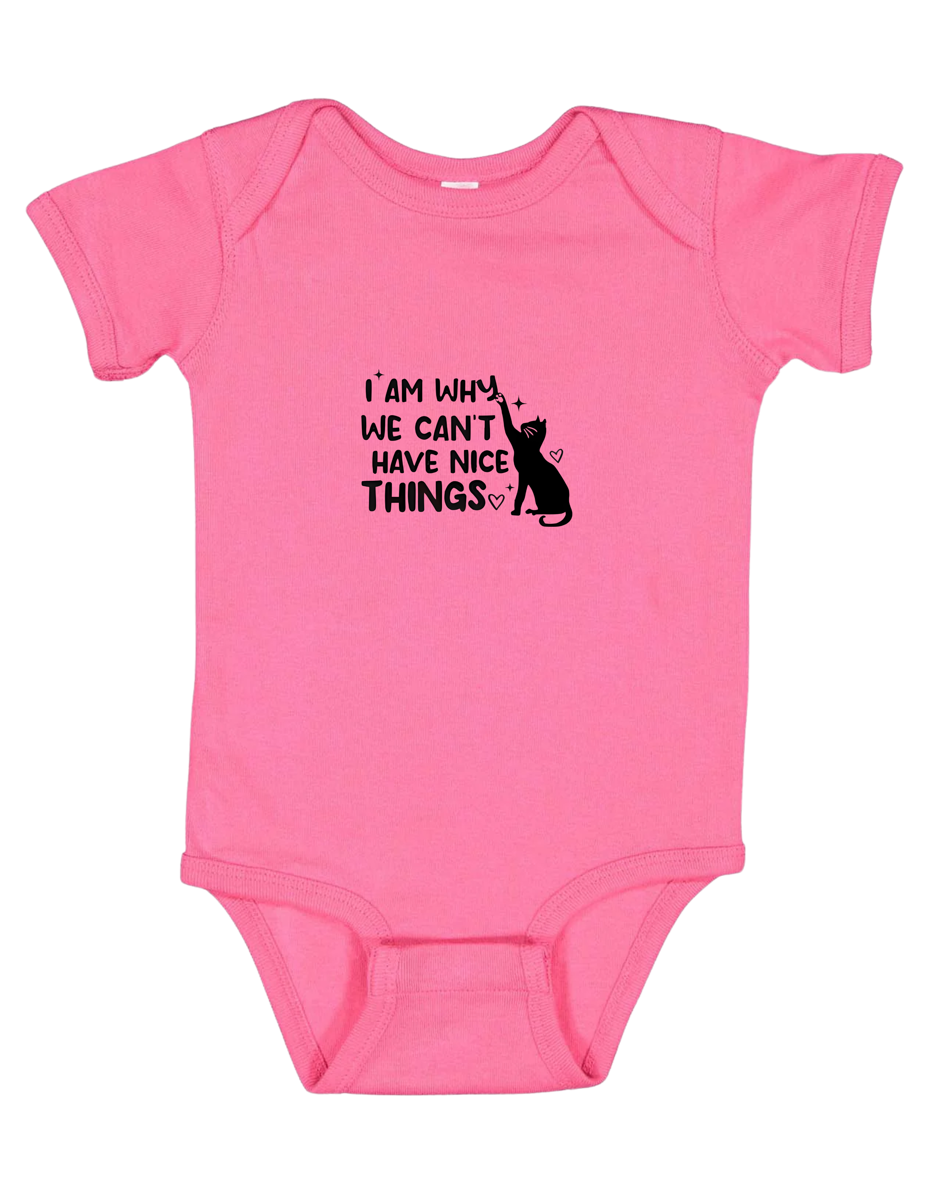 I'm Why We Can't Have Nice Things