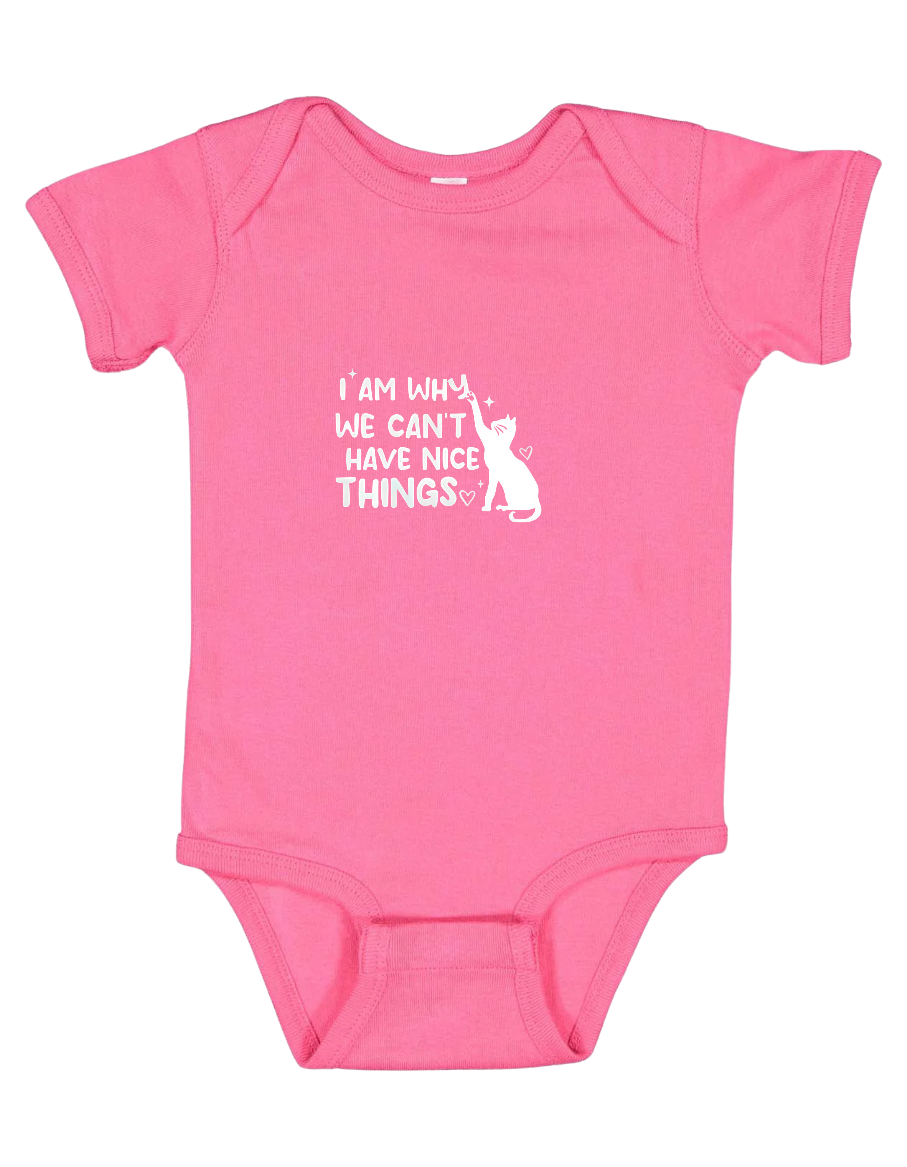 I'm Why We Can't Have Nice Things