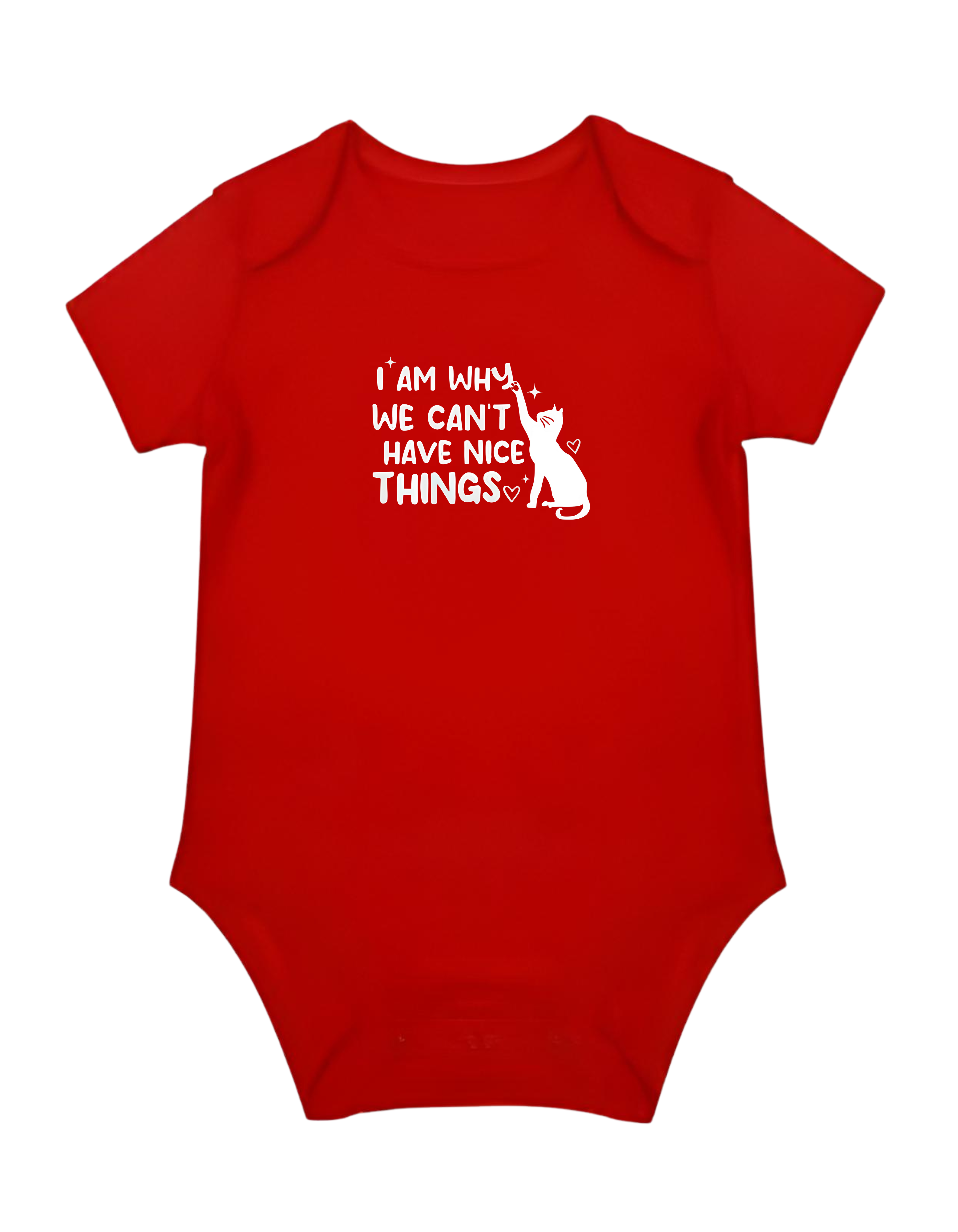 I'm Why We Can't Have Nice Things