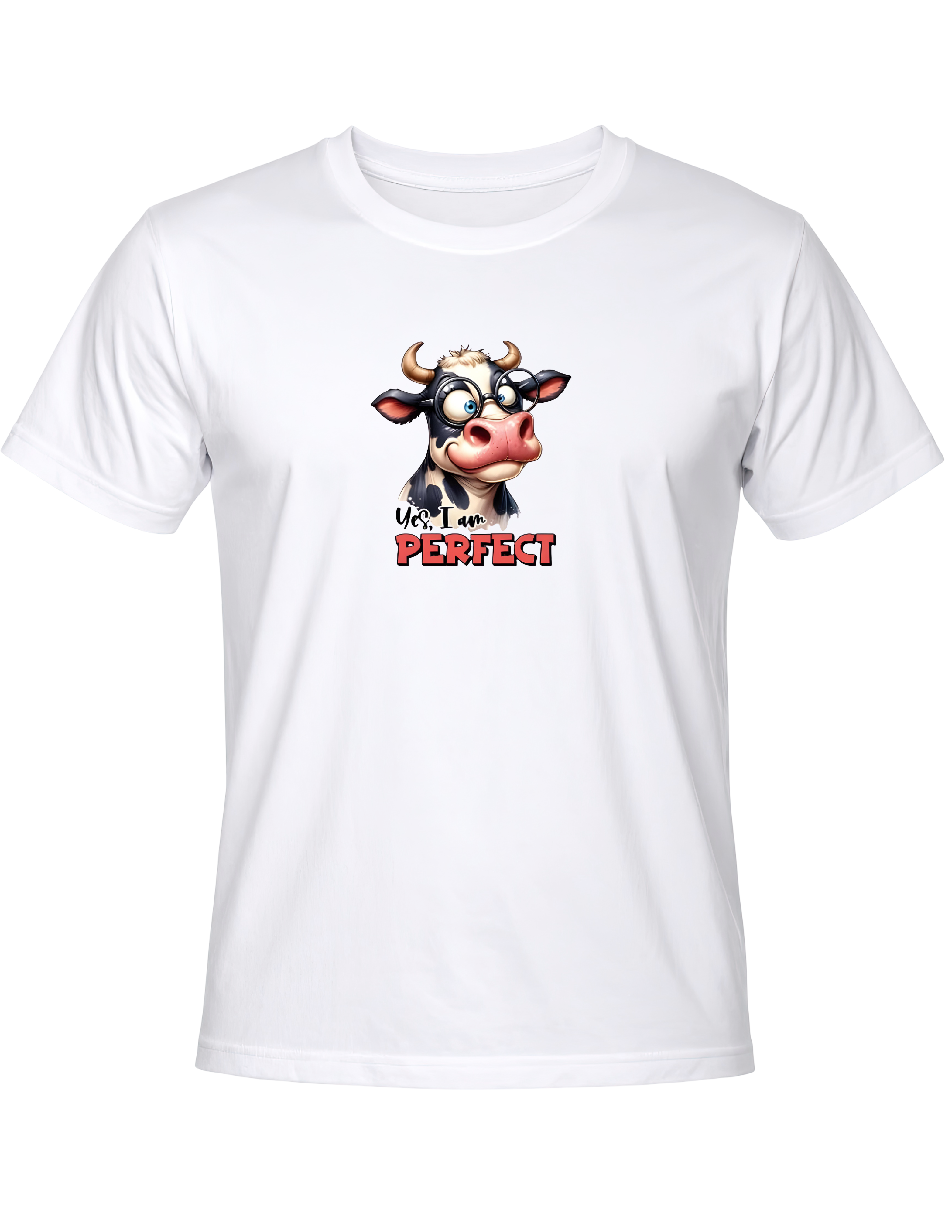 Yes I'am Perfect